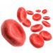 Измеряем уровень гемоглобина в крови дома